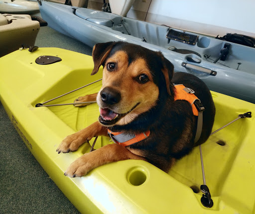 Outdoor Sports Store «Wild River Outfitters Inc», reviews and photos, 3636 Virginia Beach Blvd #108, Virginia Beach, VA 23452, USA