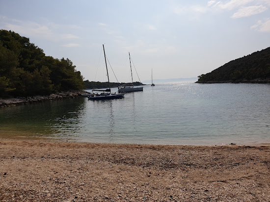 Plaz Porterusa