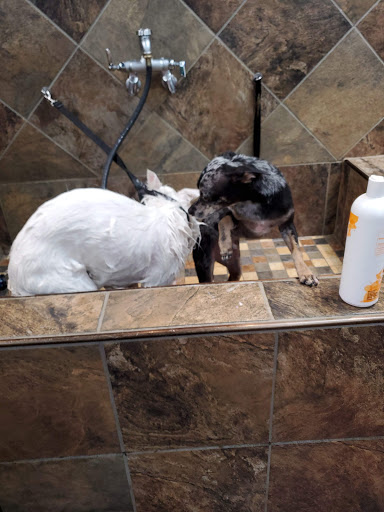 Pet Supply Store «Pet Valu», reviews and photos, 150 Main St, Lodi, NJ 07644, USA