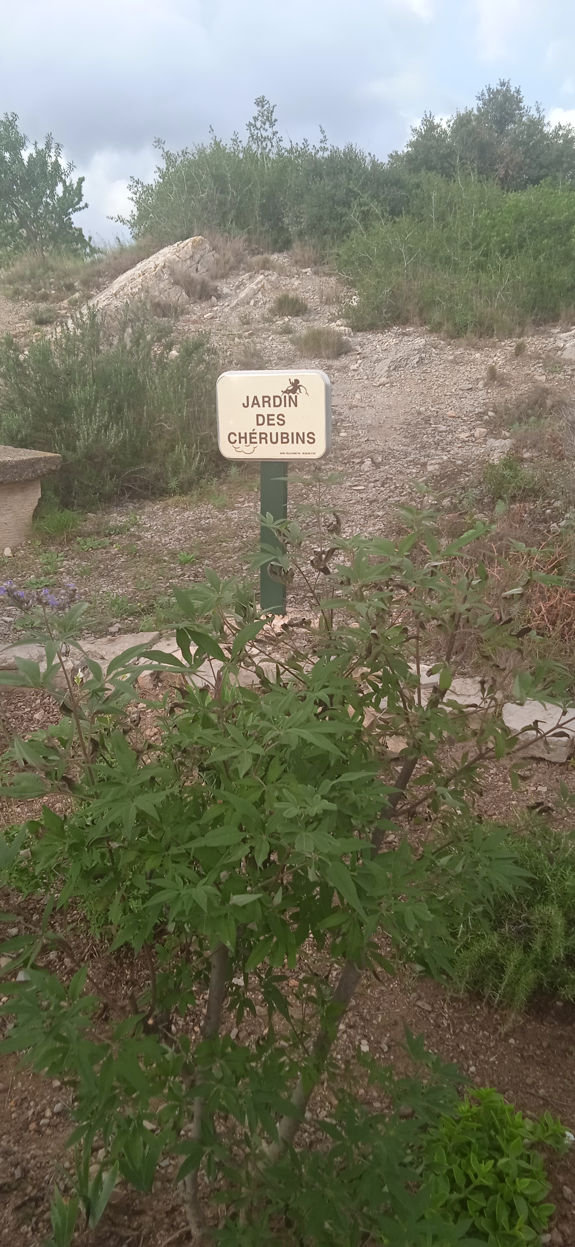 Photo n° 16 de l'avis de cebora.E fait le 30/10/2022 à 15:23