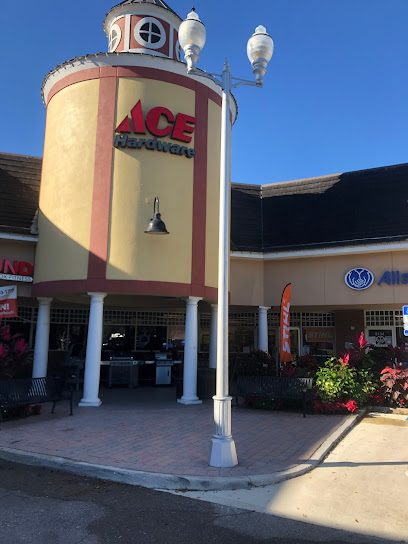 Dr. Phillips Ace Hardware
