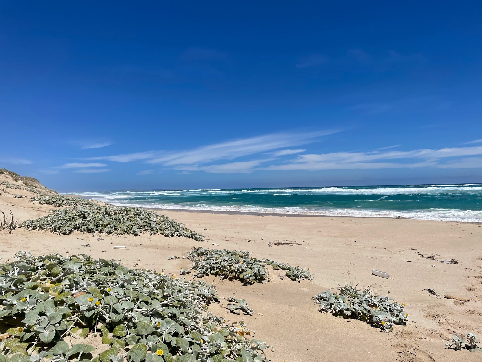 Fotografija Black's Beach z svetel pesek površino