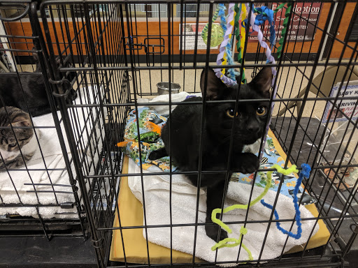 Pet Supply Store «PetSmart», reviews and photos, 1131 Sanguinetti Rd, Sonora, CA 95370, USA