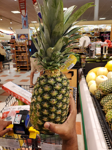 Grocery Store «Market Basket», reviews and photos, 139 Endicott St, Danvers, MA 01923, USA