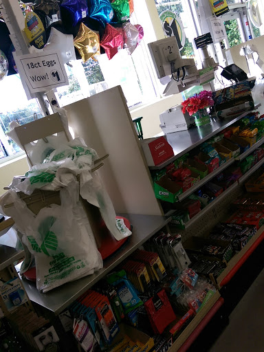 Dollar Store «Dollar Tree», reviews and photos, 3485 N Lecanto Hwy, Beverly Hills, FL 34465, USA