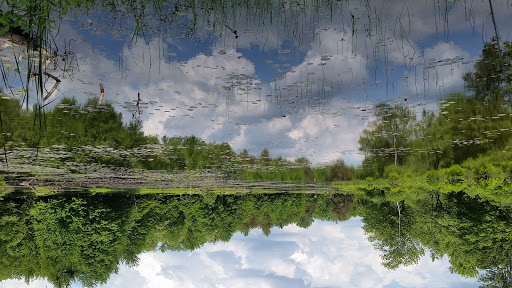 Nature Preserve «Reinstein Woods Nature Preserve», reviews and photos, 93 Honorine Dr, Depew, NY 14043, USA