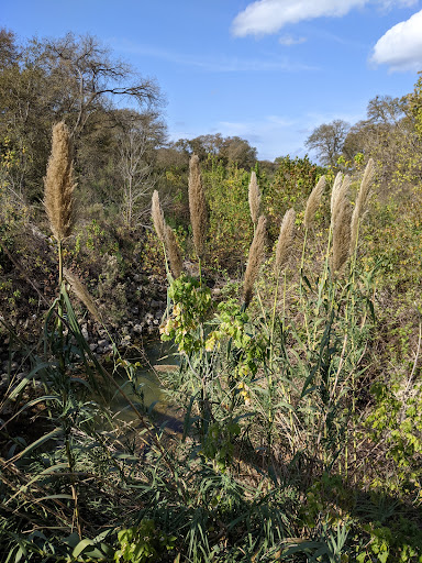 Golf Course «Harvey Penick Golf Campus», reviews and photos, 5501 Ed Bluestein Blvd, Austin, TX 78723, USA