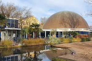 Planetarium at Artis Zoo image