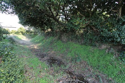 藤並城跡(藤並館跡)