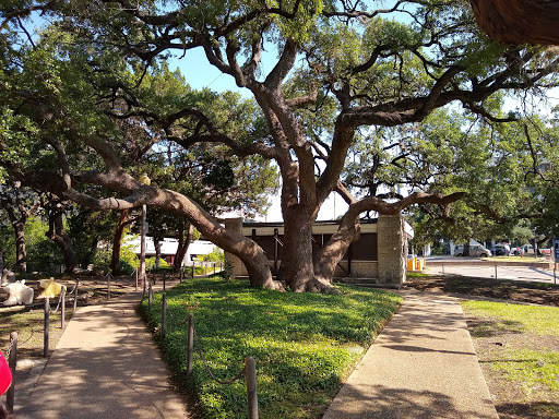 Museum «Texas Memorial Museum», reviews and photos, 2400 Trinity St, Austin, TX 78705, USA
