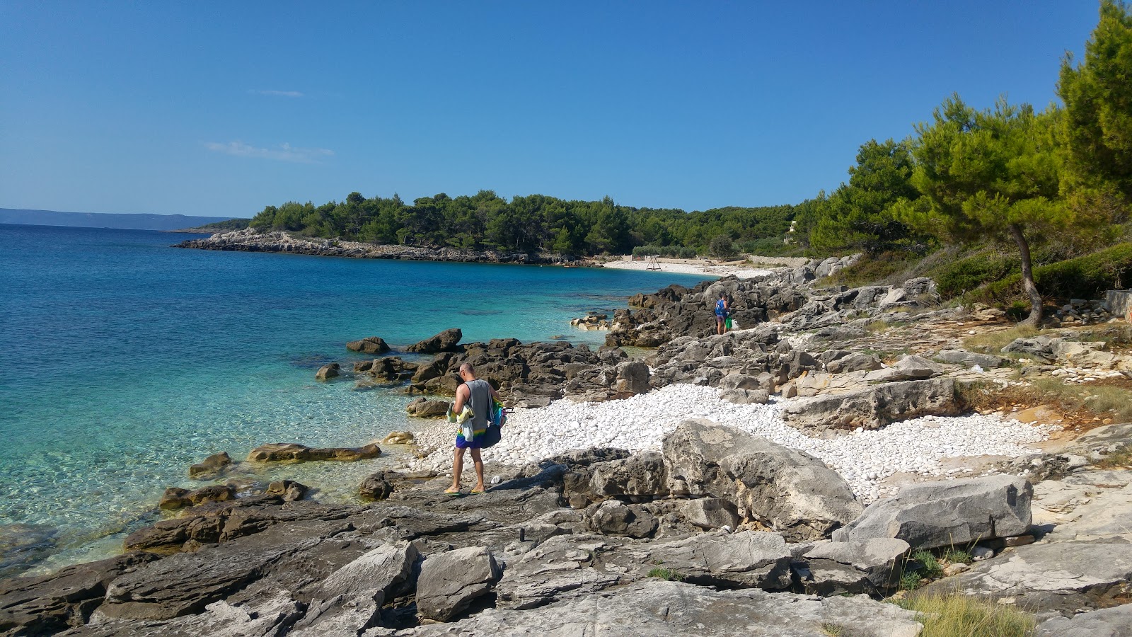 Foto von Puntica beach mit kleine bucht