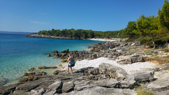 Puntica beach