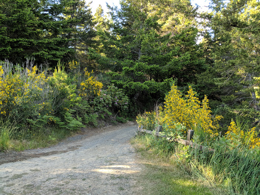 Golf Course «Ocean Dunes Golf Course», reviews and photos, 15 Onadoone Ct, Florence, OR 97439, USA
