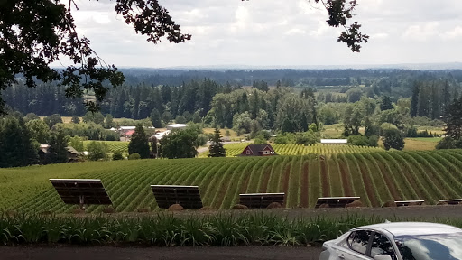 Winery «Sokol Blosser Winery», reviews and photos, 5000 NE Sokol Blosser Ln, Dayton, OR 97114, USA