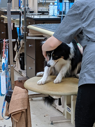 Pet Supply Store «PetSmart», reviews and photos, 2017 N Prospect Ave, Champaign, IL 61822, USA