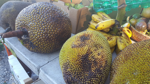 American Restaurant «Upper Eastside Farmers Market», reviews and photos, 6599 Biscayne Blvd, Miami, FL 33138, USA