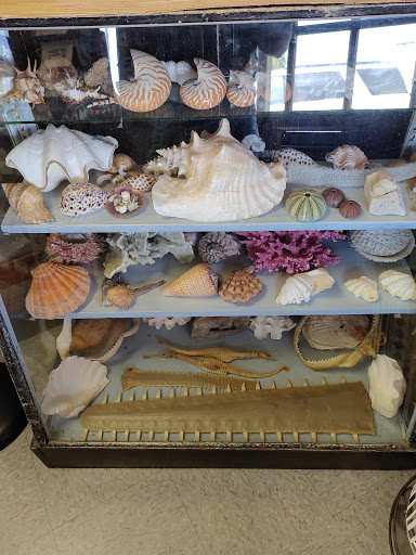 Gift Shop «Sea Shell Shoppe», reviews and photos, 120 N Austin St, Rockport, TX 78382, USA
