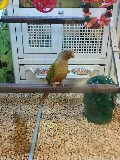 Pet Supply Store «PetSmart», reviews and photos, 1900 W International Speedway Blvd, Daytona Beach, FL 32114, USA