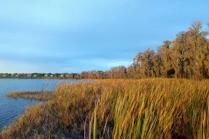 Lake Louisa State Park image