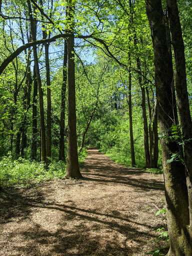 Nature Preserve «Clyde Shepherd Nature Preserve», reviews and photos, 2580 Pine Bluff Dr, Decatur, GA 30033, USA