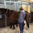 Dr.med.vet. Victor Baltus Tierärztliche Klinik