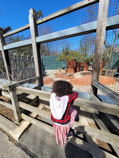 Zoo «Capron Park Zoo», reviews and photos, 201 County St, Attleboro, MA 02703, USA