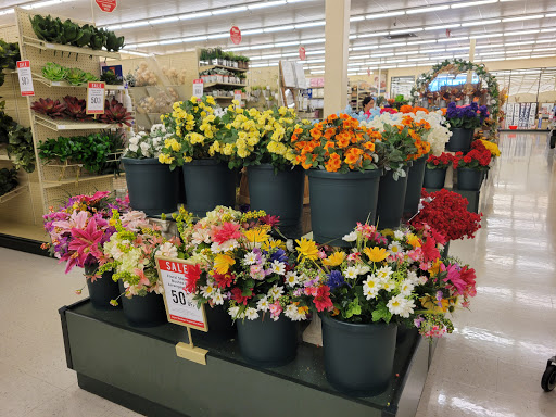 Craft Store «Hobby Lobby», reviews and photos, 1000 Immokalee Rd #30, Naples, FL 34110, USA