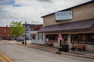 Roots Eatery and Pub image