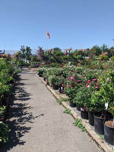 Hardware Store «Payless Hardware, Rockery and Nursery», reviews and photos, 2927 King Rd, San Jose, CA 95122, USA