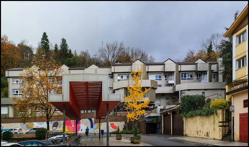 Colegio Público Alkartasuna, Institución educativa pública en Beasain,Gipuzkoa