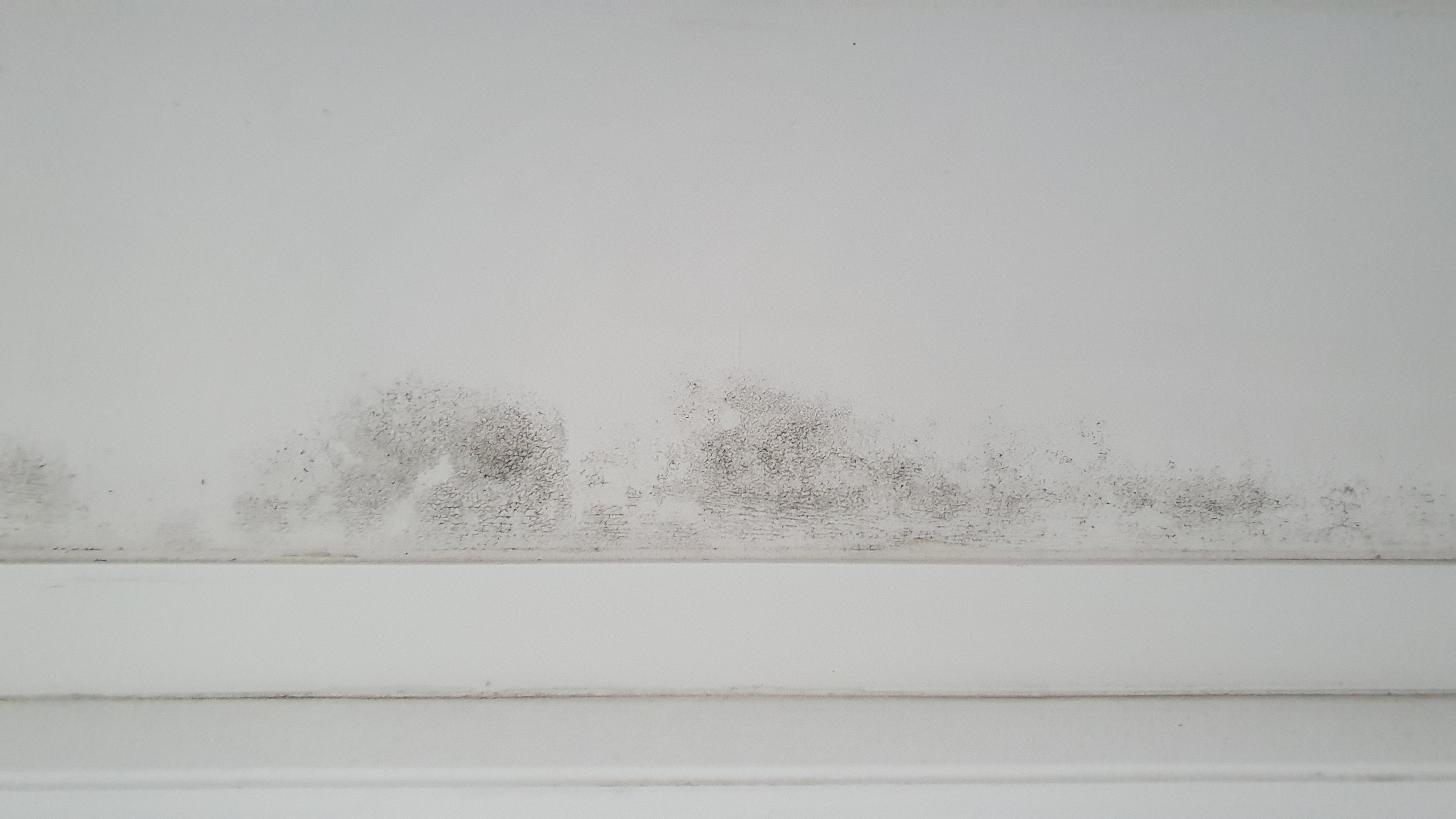 Photo n° 1 de l'avis de Morgane.o fait le 03/12/2022 à 18:23