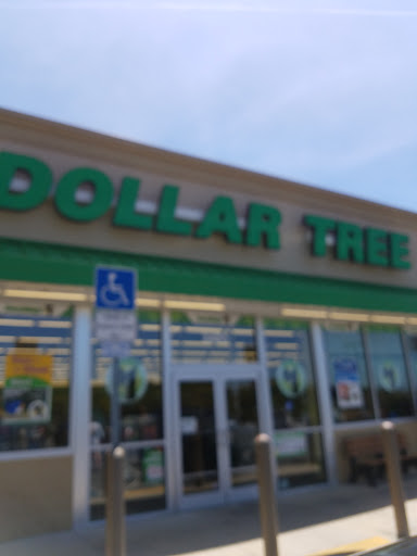 Dollar Store «Dollar Tree», reviews and photos, 3485 N Lecanto Hwy, Beverly Hills, FL 34465, USA