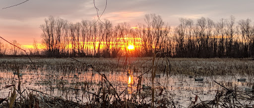 Nature Preserve «Marais Temps Clair Conservation Area», reviews and photos, 5134 Island Road, St Charles, MO 63301, USA