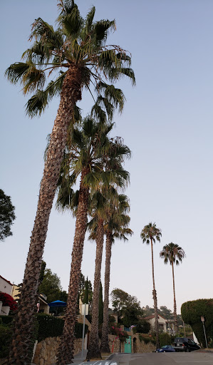 Estrada Plumbing in Santa Barbara, California