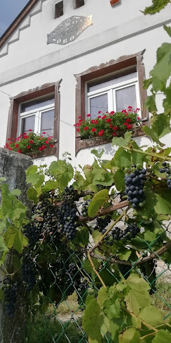 Ani Market,Öreg Halász.Dohánybolt, Lottó - Kocsma