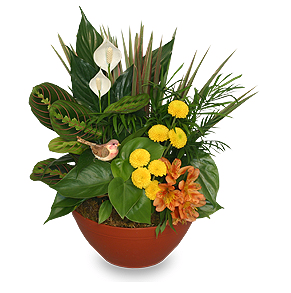 Florist «Platte Floral», reviews and photos, 1417 E Platte Ave, Colorado Springs, CO 80909, USA