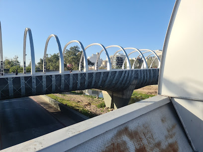 Puente del Bicentenario