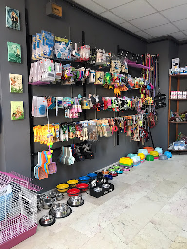 Doguskent Petshop | Maltepe İstanbul - Evcil hayvan mağazası