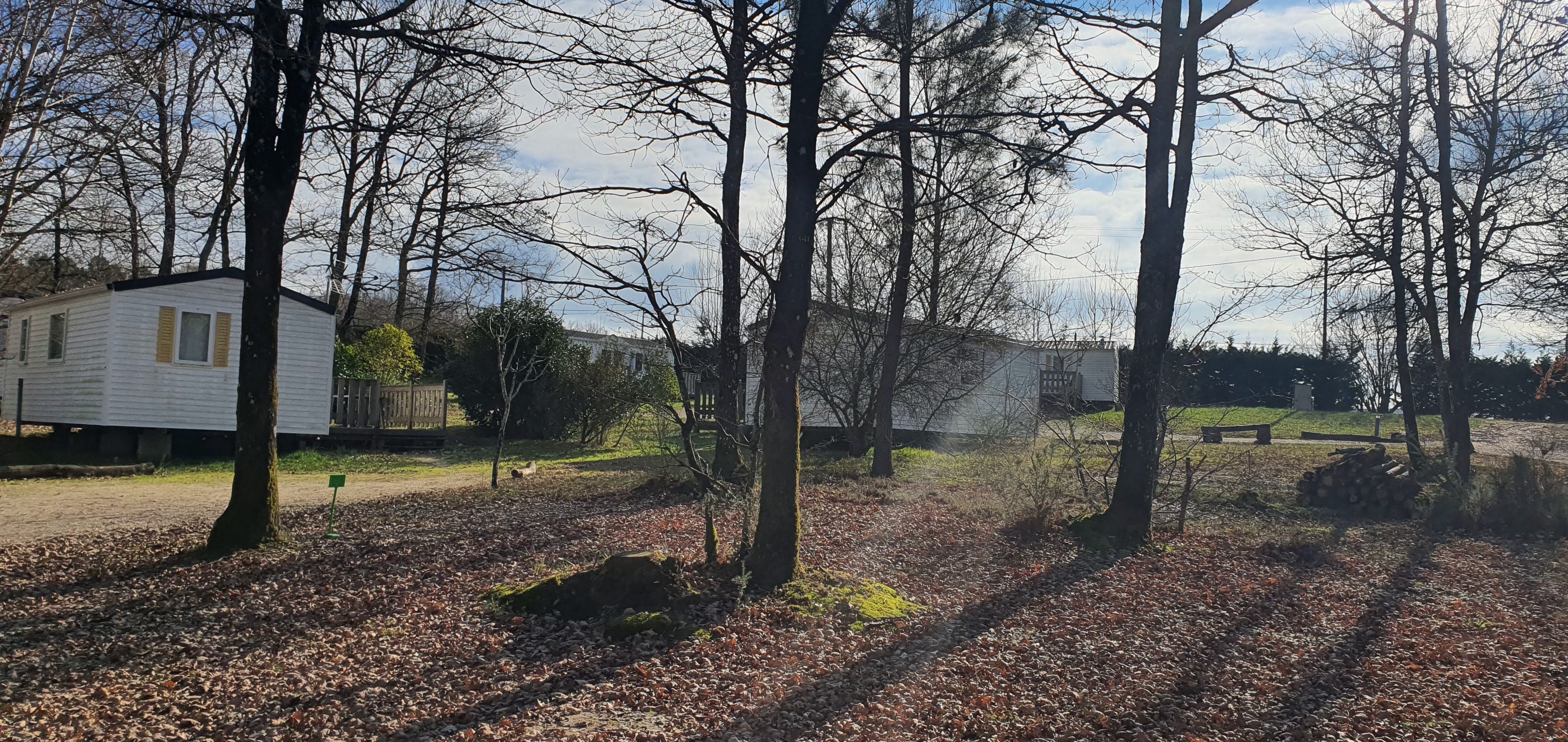 Photo n° 16 de l'avis de Rémi.u fait le 29/01/2023 à 12:03