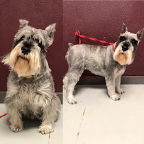 La Bella Pet Spa - Photo 8 - Car repair in Cedar Rapids, IA, Cedar Rapids