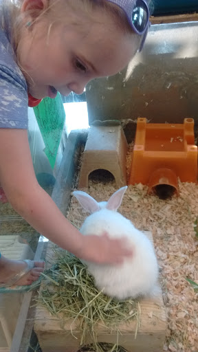 Tropical Fish Store «Animal House Pet Shop», reviews and photos, 358 Warner Milne Rd #110, Oregon City, OR 97045, USA