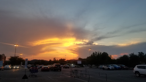 Pet Supply Store «PetSmart», reviews and photos, 8105 Moores Ln Ste 1300, Brentwood, TN 37027, USA