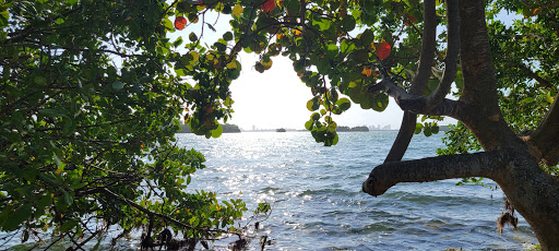 American Restaurant «Upper Eastside Farmers Market», reviews and photos, 6599 Biscayne Blvd, Miami, FL 33138, USA