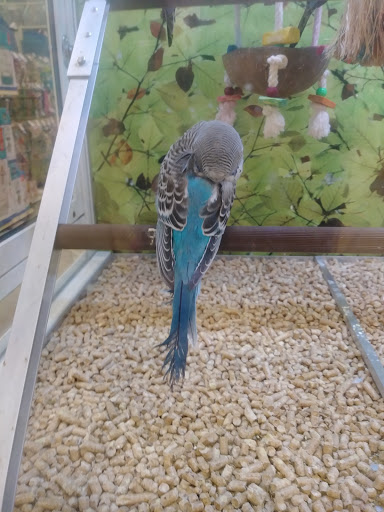 Pet Supply Store «PetSmart», reviews and photos, 2255 Pine Ridge Rd, Naples, FL 34109, USA