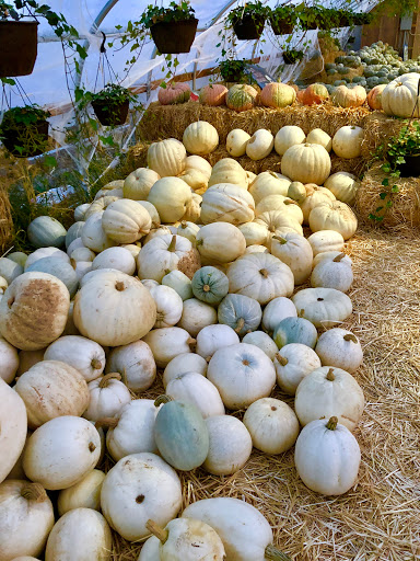 Produce Market «Kuwahara Farms», reviews and photos, 736 12300 S, Draper, UT 84020, USA