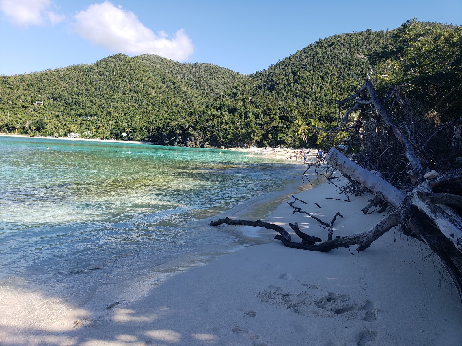 Foto van Hawksnest beach ondersteund door kliffen