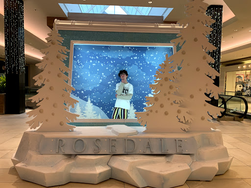 Shopping Mall «Rosedale Center», reviews and photos, 1595 MN-36, Roseville, MN 55113, USA