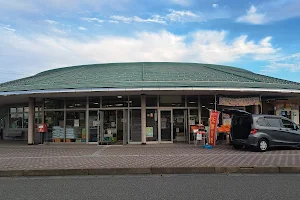 Roadside Station Mikuni image