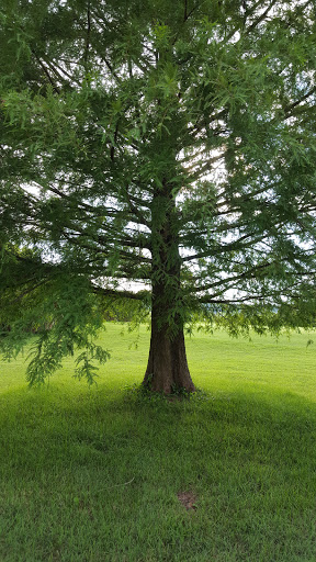 Golf Club «Crescent Farms Golf Club», reviews and photos, 745 Lewis Rd, Crescent, MO 63025, USA