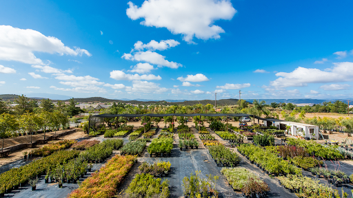 Murrieta Oaks Nursery